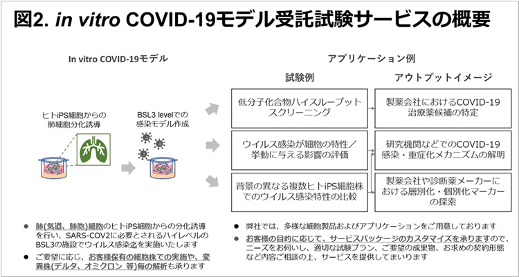 図2.in vitro COVID-19モデル受託試験サービスの概要